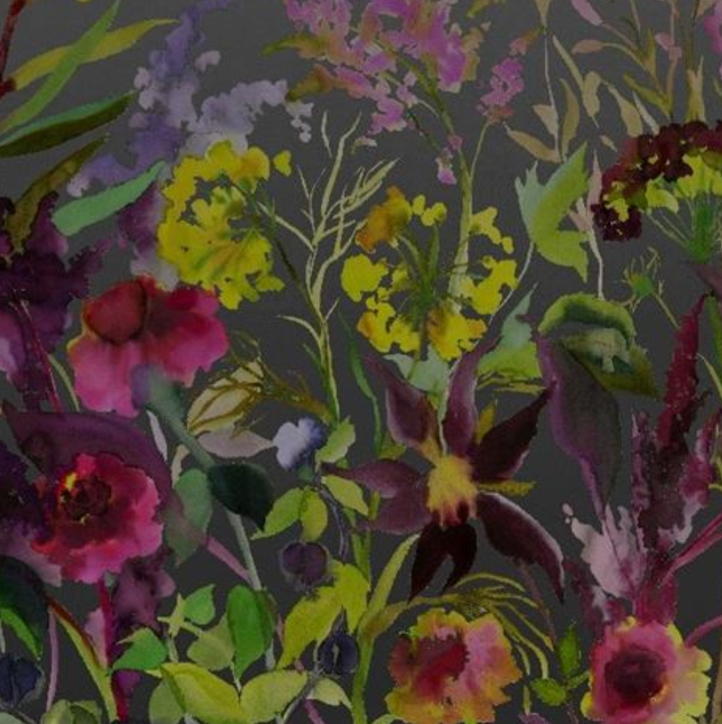 Indian Sunflower Wallpaper