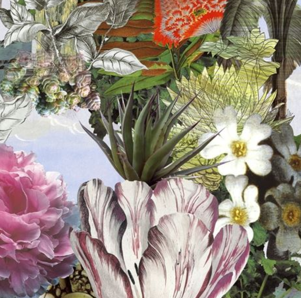 Jardin Des Reves Panoramic Wallpaper