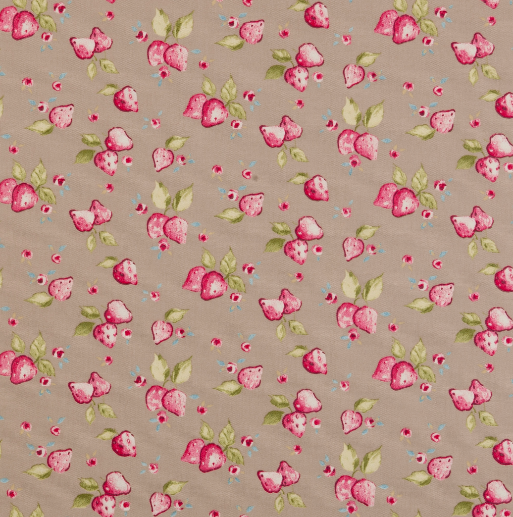 Strawberry Fabric