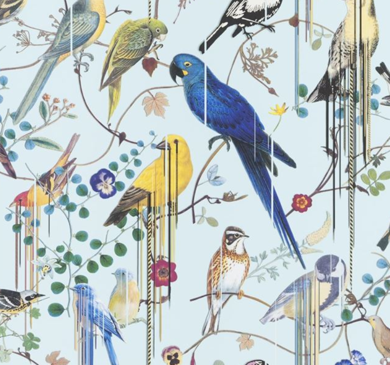 Birds Sinfonia Wallpaper