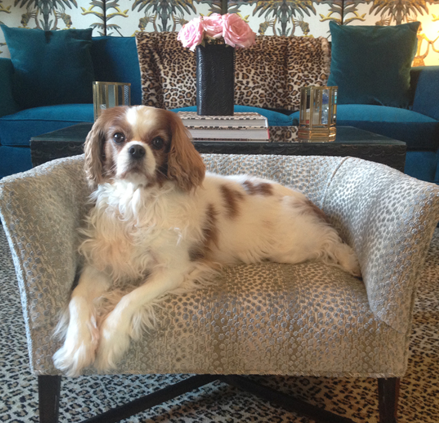 Nakura Linen Velvet Fabric