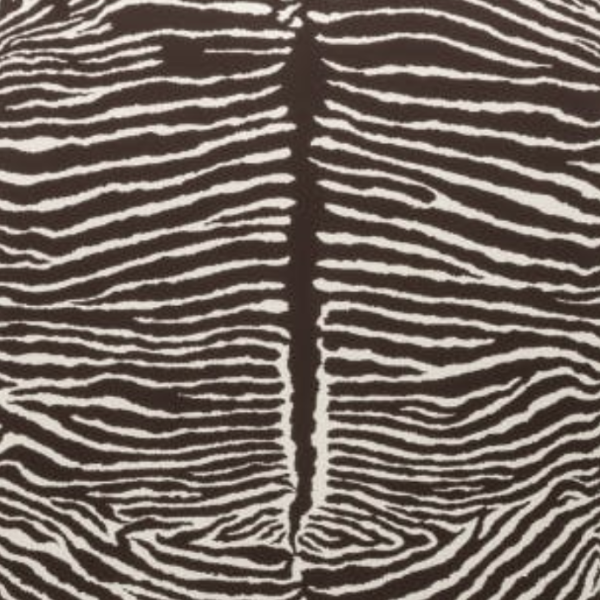 Le Zebre Wallpaper