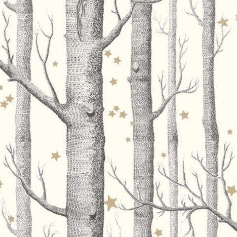 Woods and Stars Wallpaper