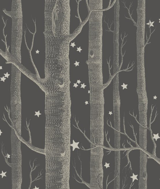 Woods and Stars Wallpaper