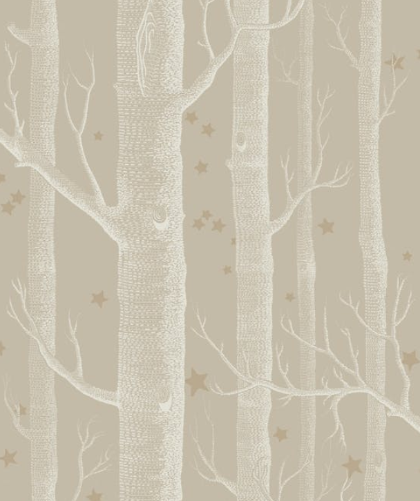 Woods and Stars Wallpaper