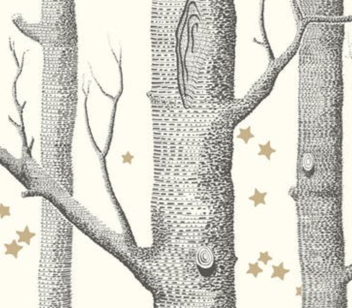 Woods and Stars Wallpaper