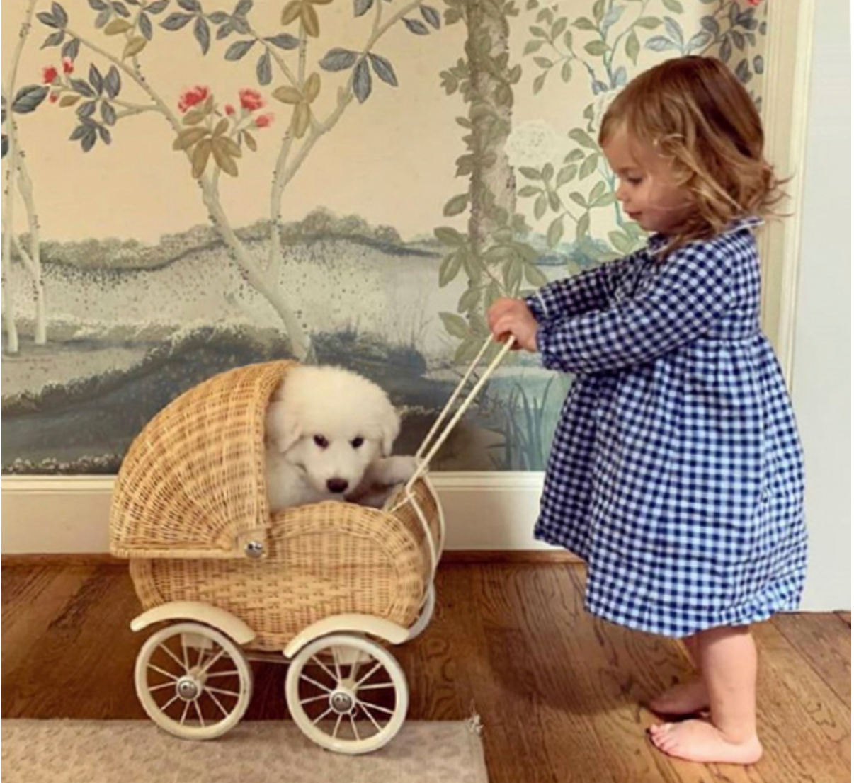 Madame De Pompadour Wallpaper Mural