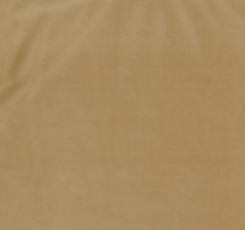 Villa Velvet Pinch Pleated Drapes