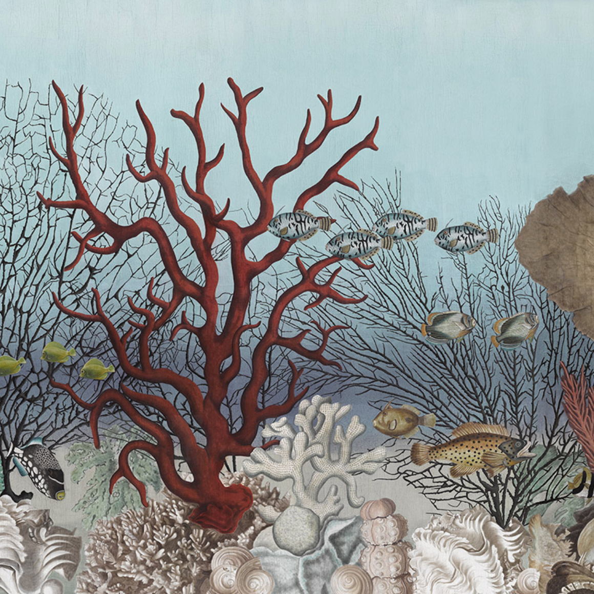 Ocean Still Life Mural