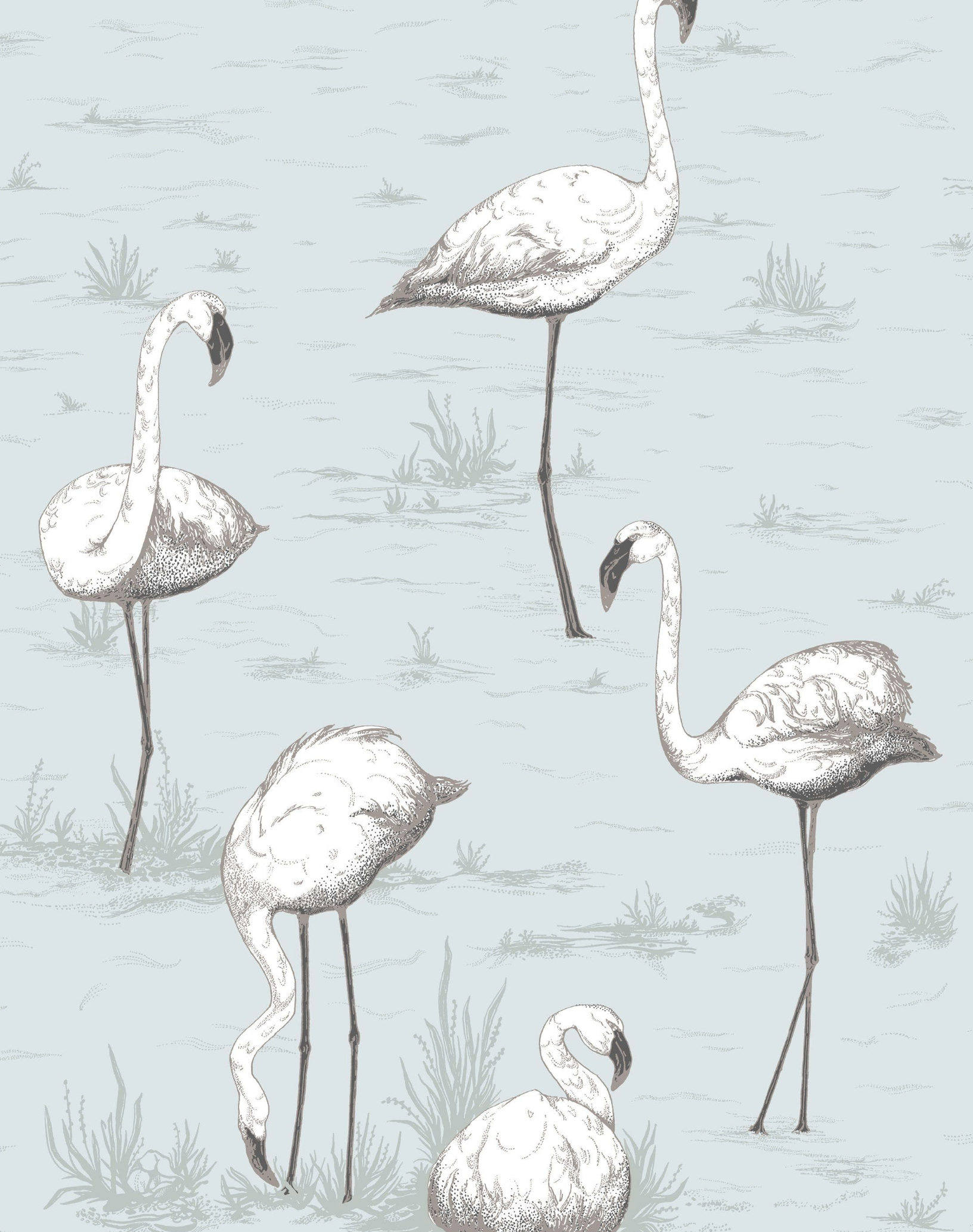 Flamingo's Wallpaper
