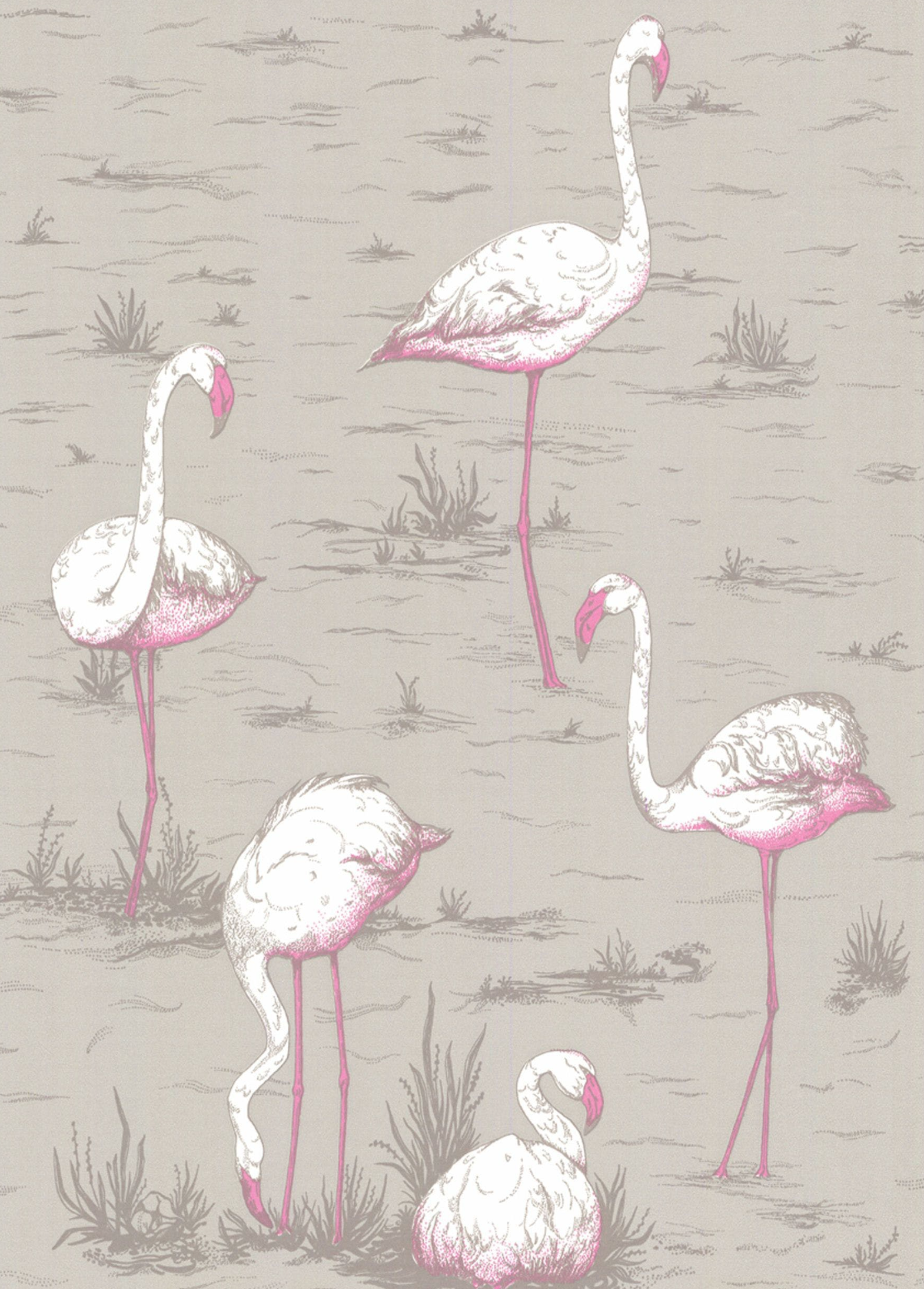 Flamingo's Wallpaper