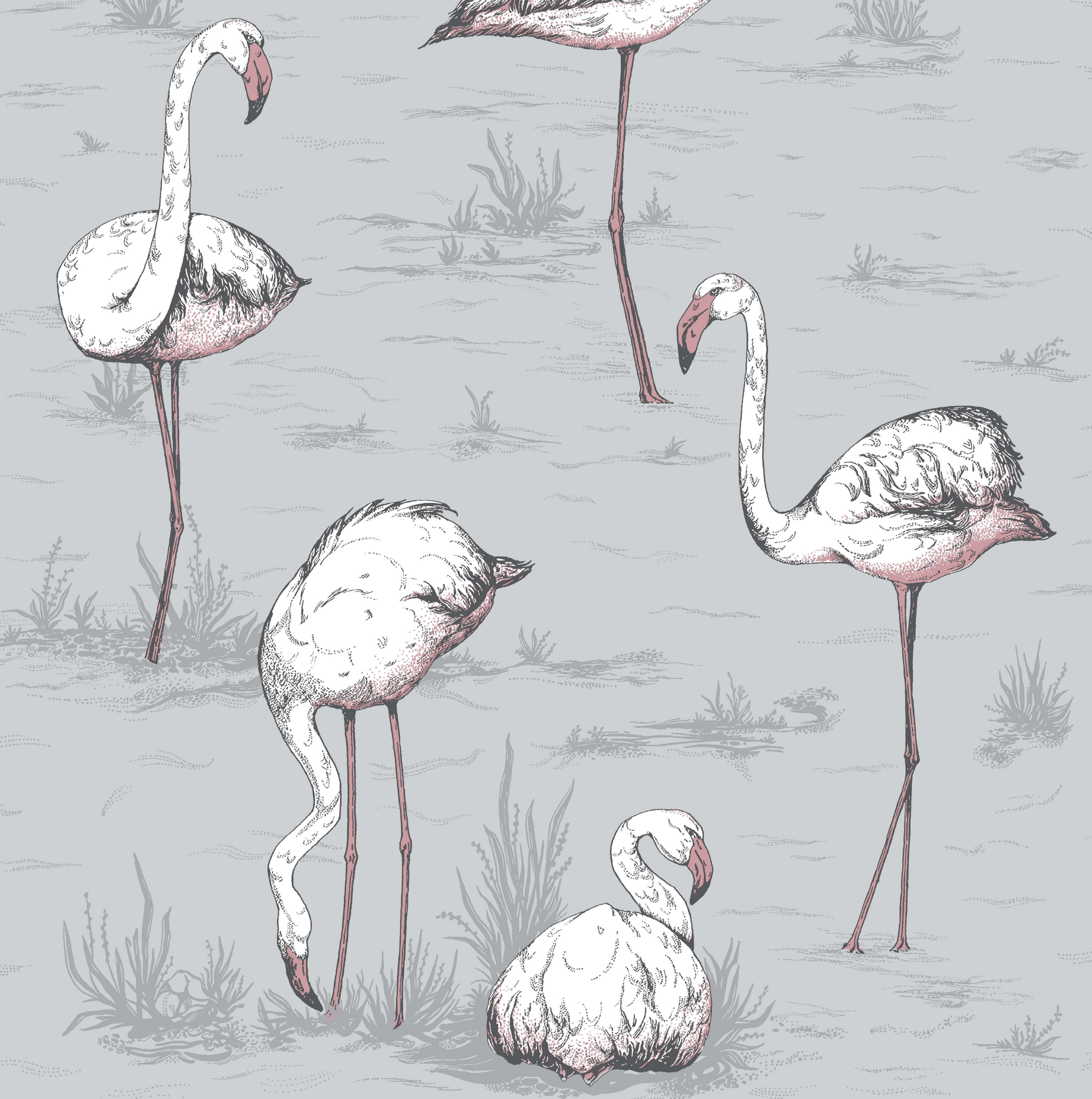 Flamingo's Wallpaper