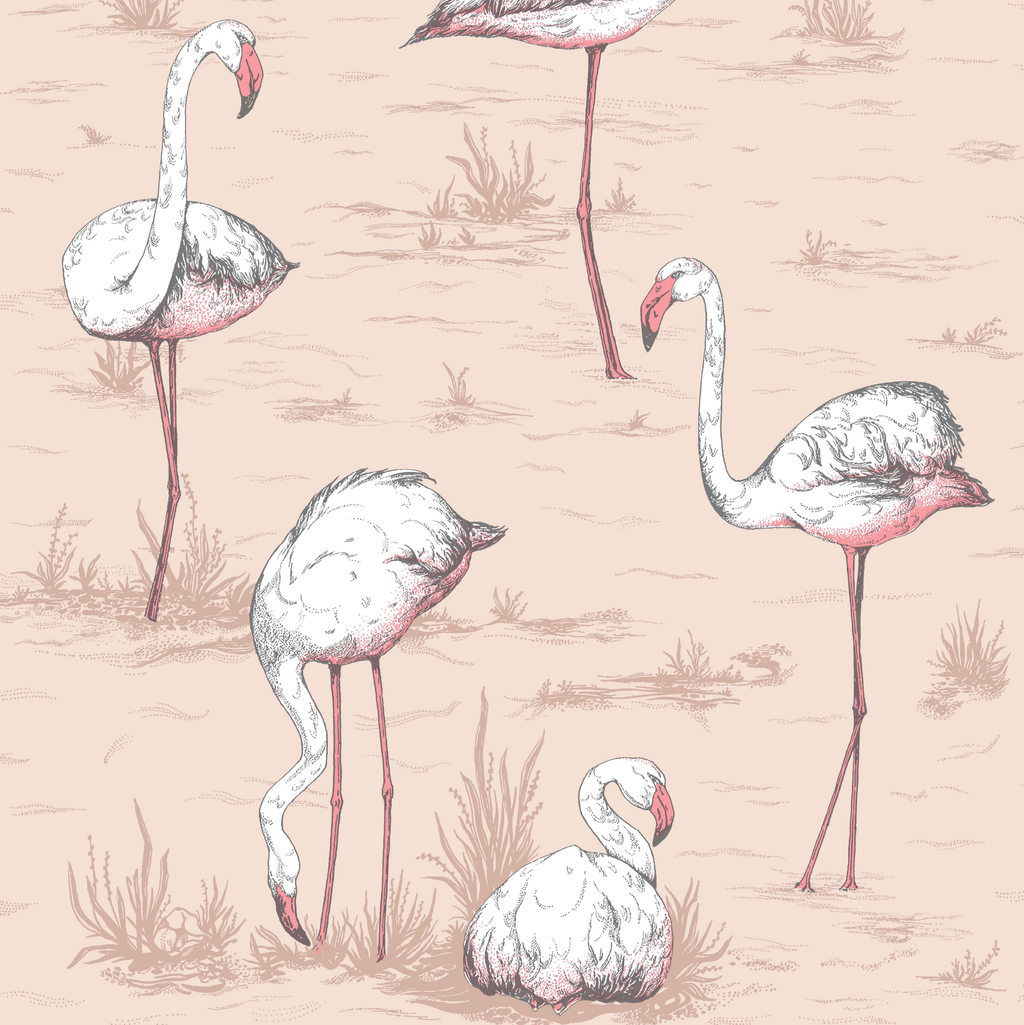 Flamingo's Wallpaper