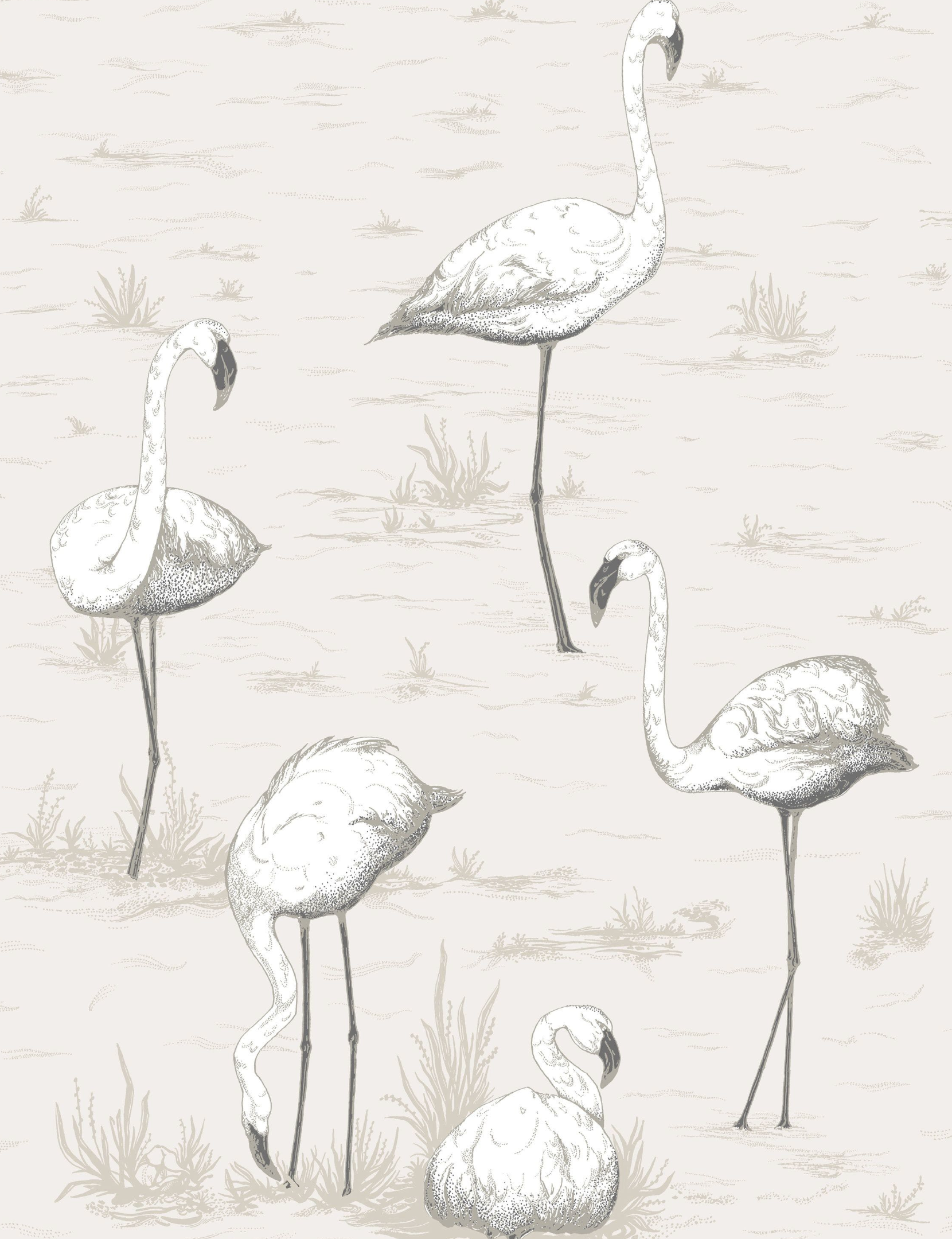 Flamingo's Wallpaper
