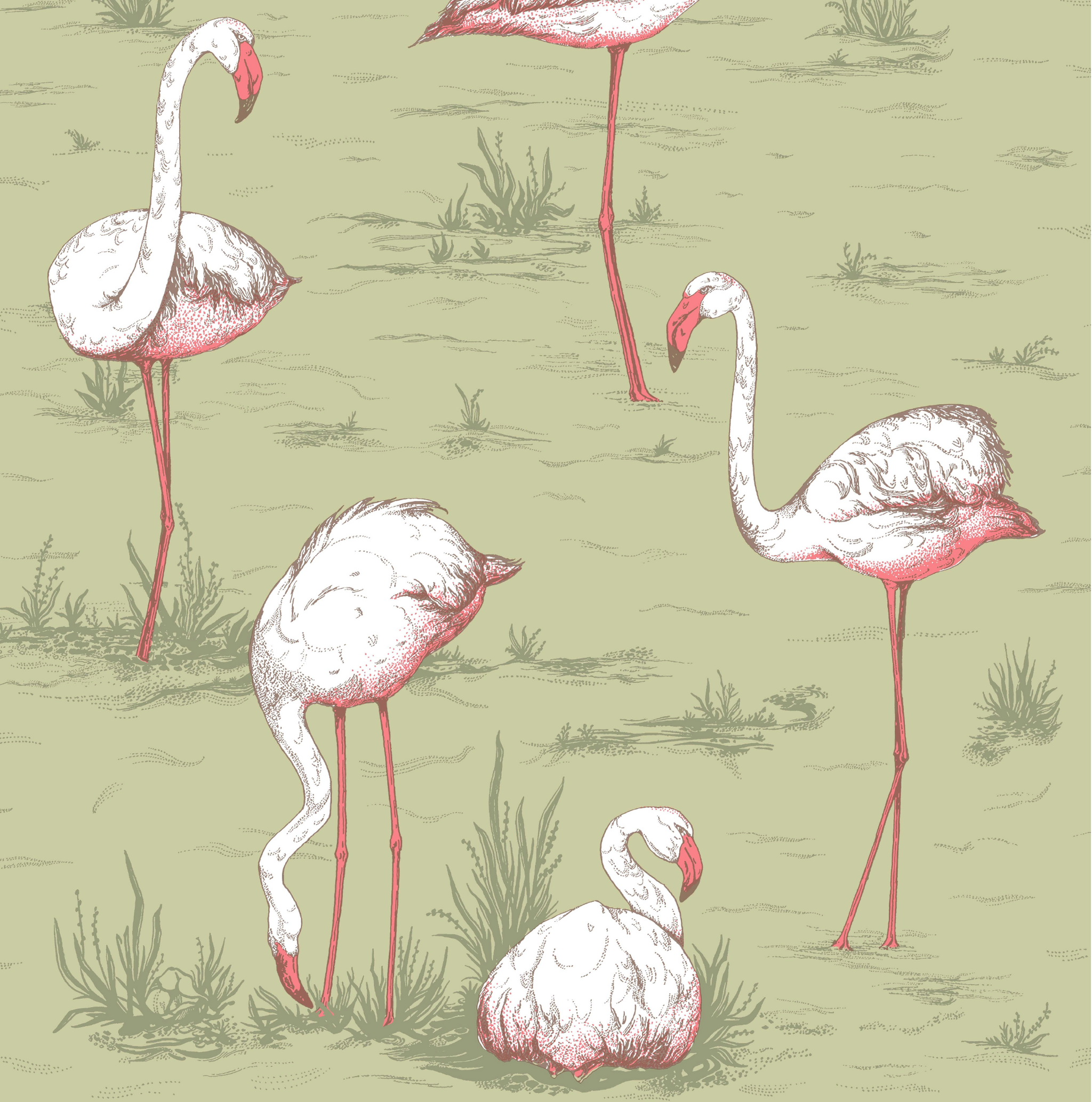 Flamingo's Wallpaper