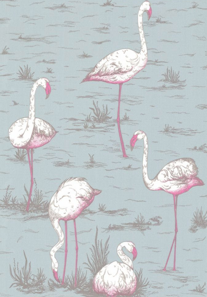Flamingo's Wallpaper