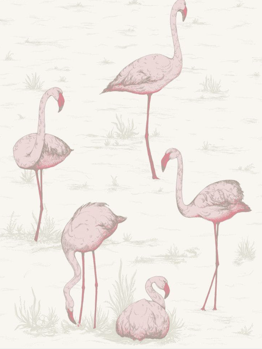 Flamingo's Wallpaper