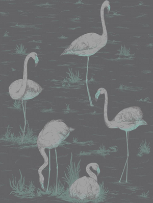 Flamingo's Wallpaper