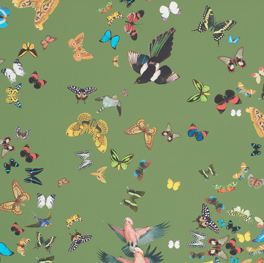 Queens Flight Wallpaper