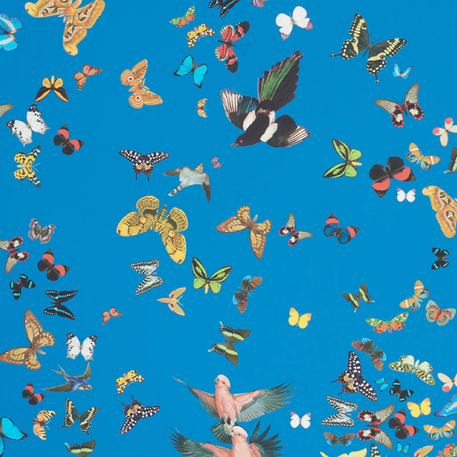 Queens Flight Wallpaper