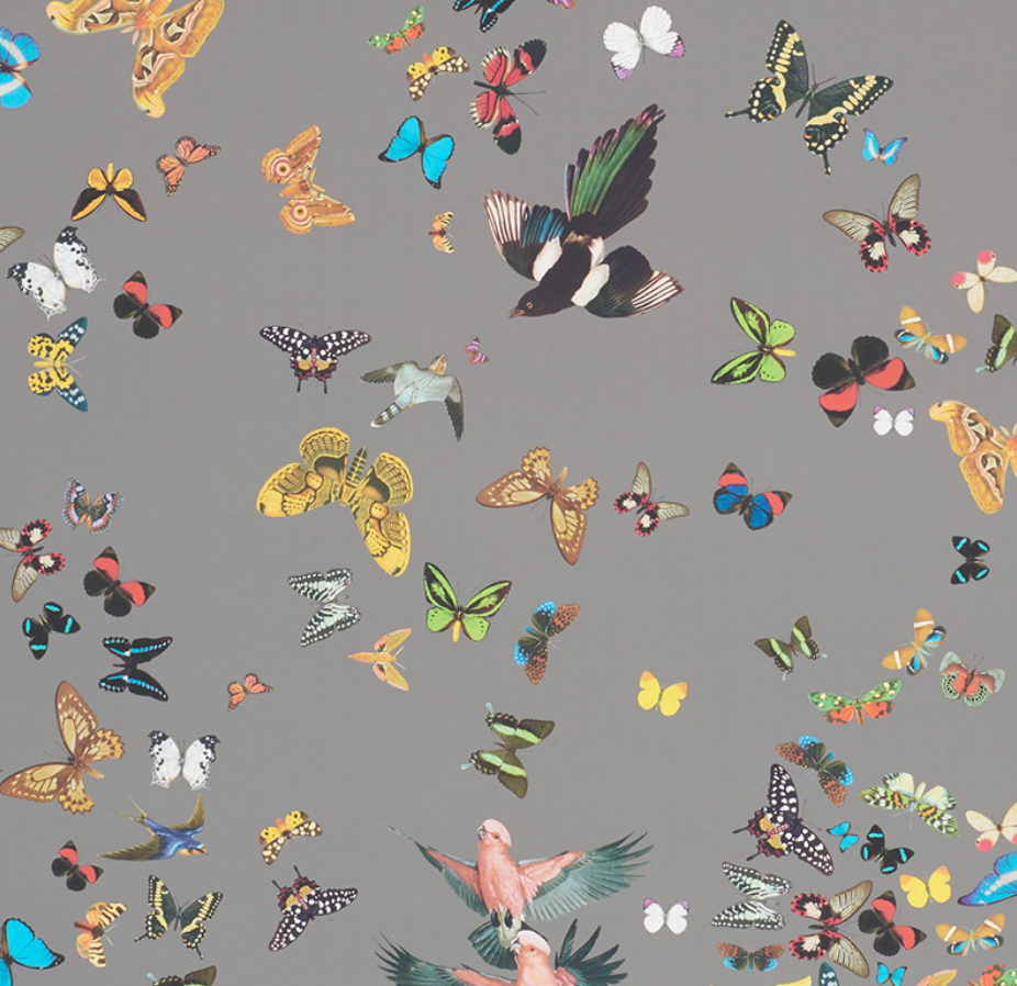 Queens Flight Wallpaper