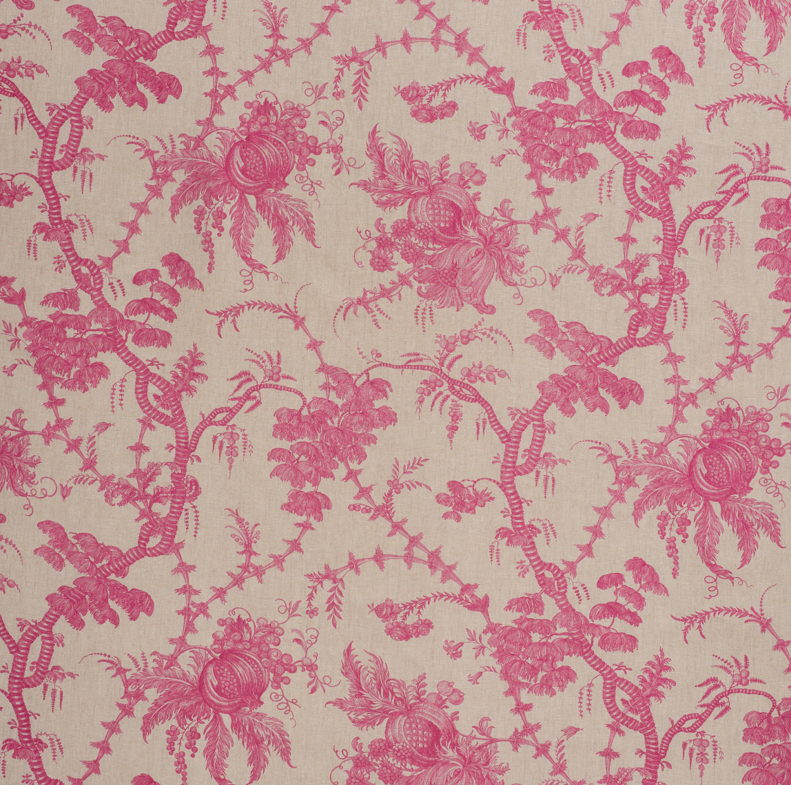 San Cristobal Toile Fabric