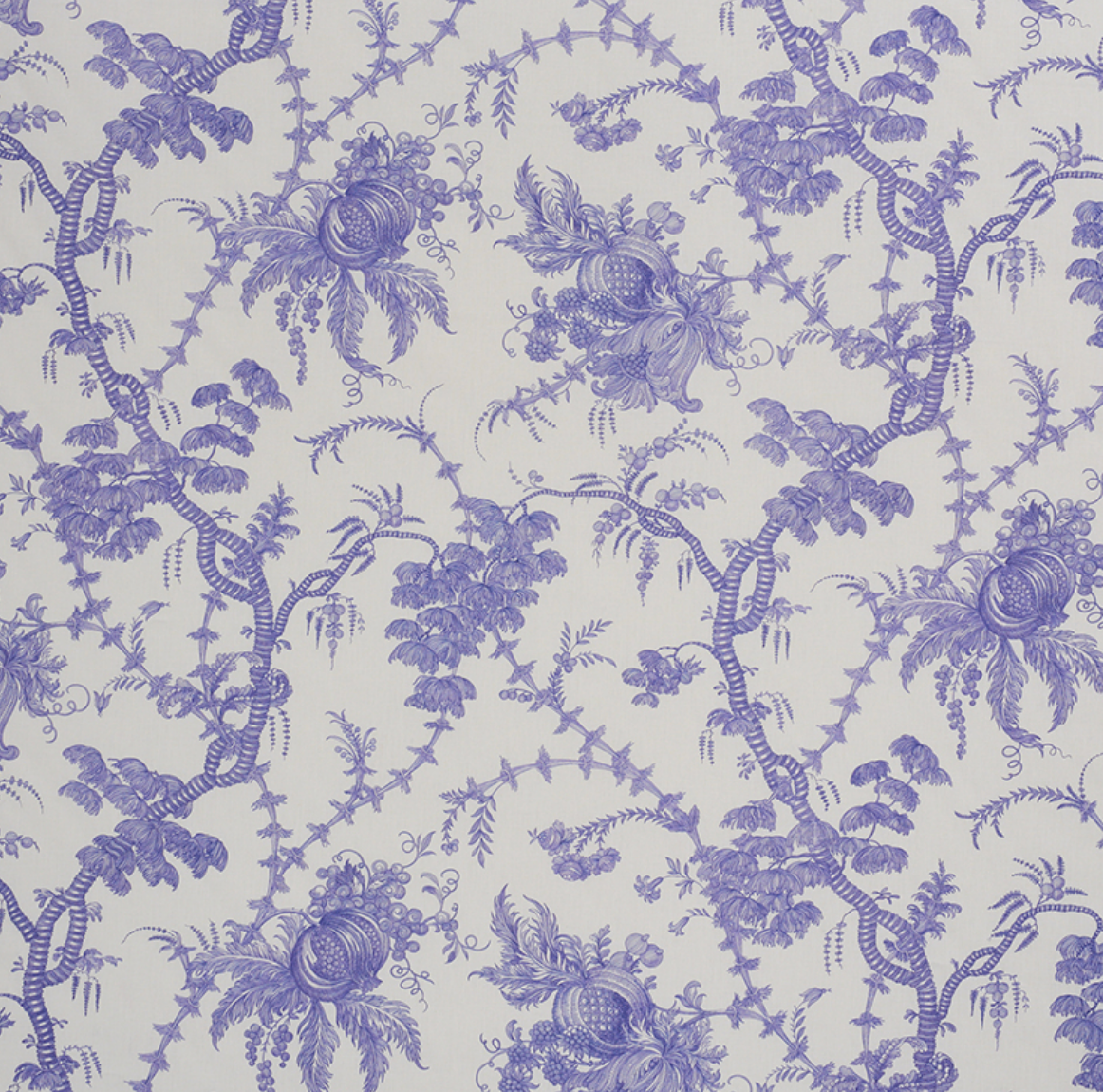 San Cristobal Toile Fabric