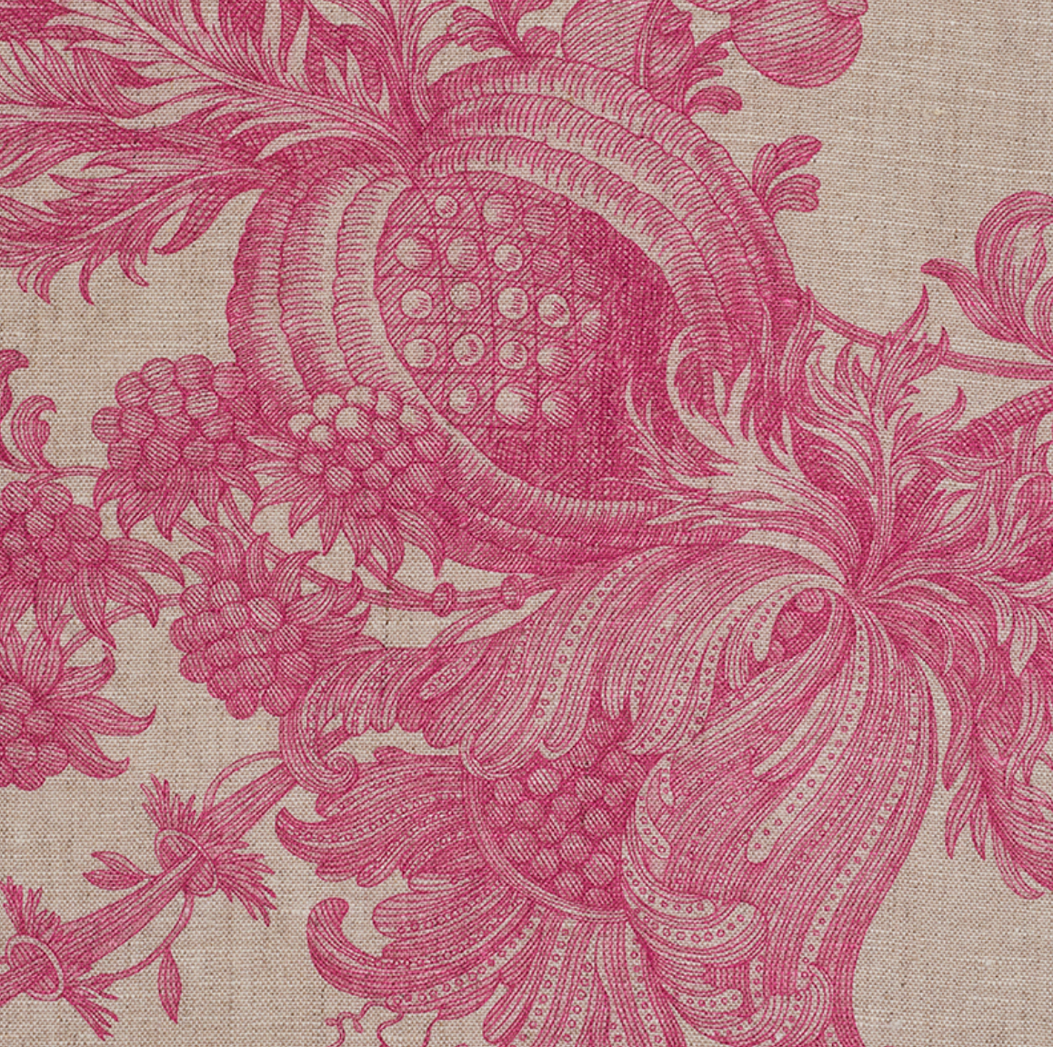 San Cristobal Toile Fabric