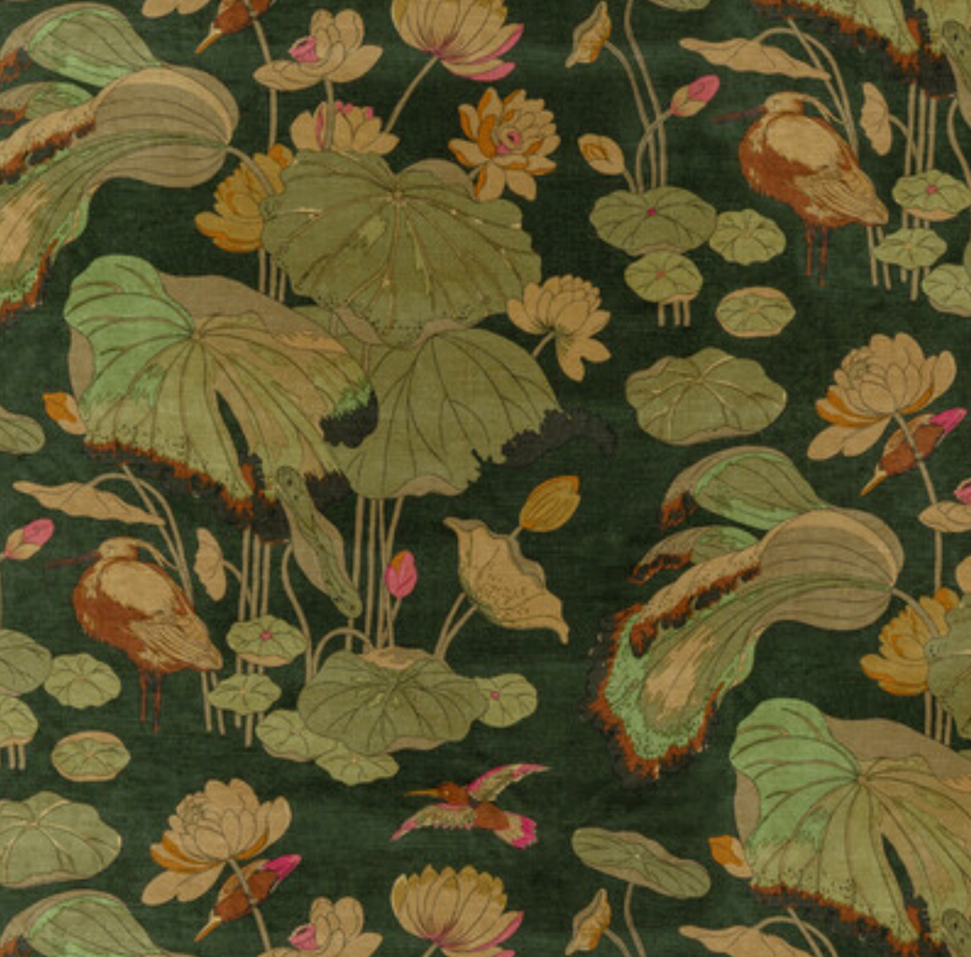 Nympheus Velvet Fabric