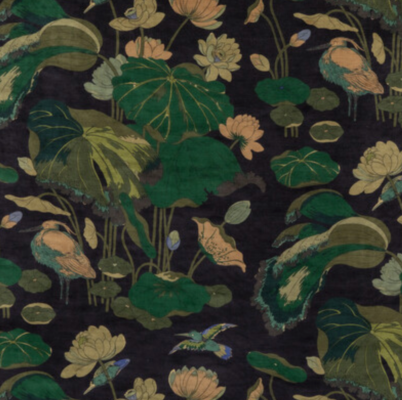 Nympheus Velvet Fabric