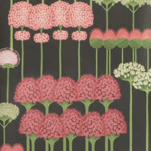 Allium Wallpaper