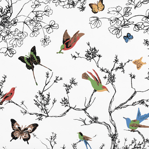 Birds and Butterfly's Wallpaper