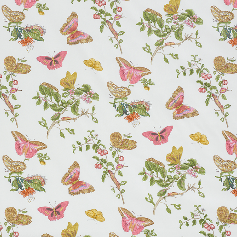 Baudin Butterfly Chintz Fabric
