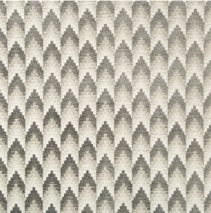 Ventron Fabric