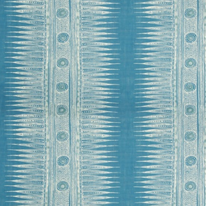Indian Zag Fabric
