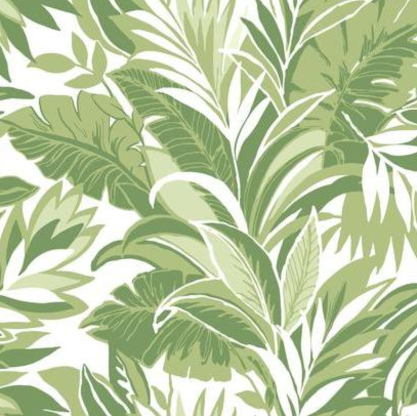 Palm Silhouette Wallpaper