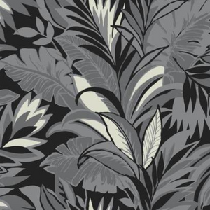 Palm Silhouette Wallpaper