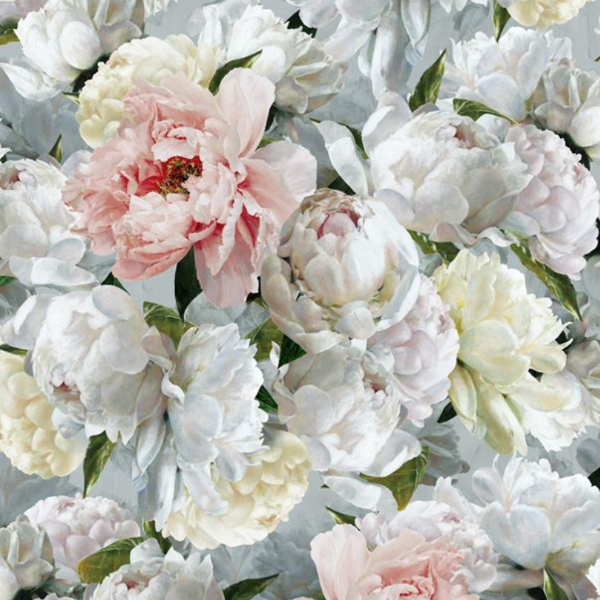 Peonia Grande Wallpaper