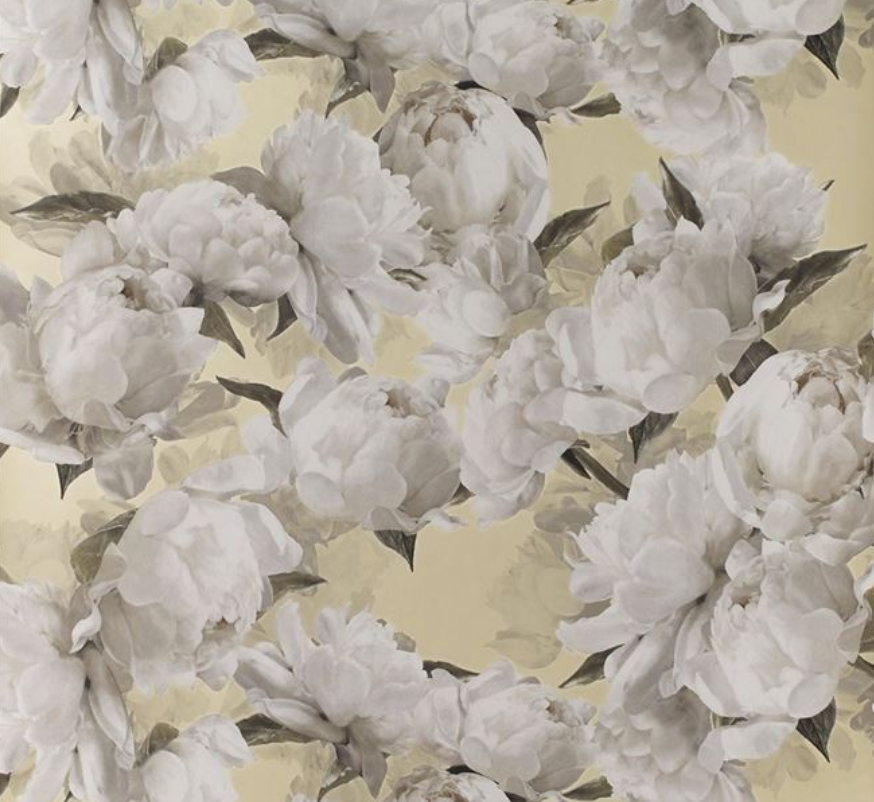Peonia Wallpaper