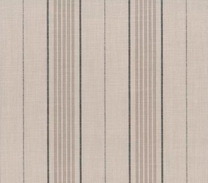 Canal Stripe Indoor Outdoor Fabric