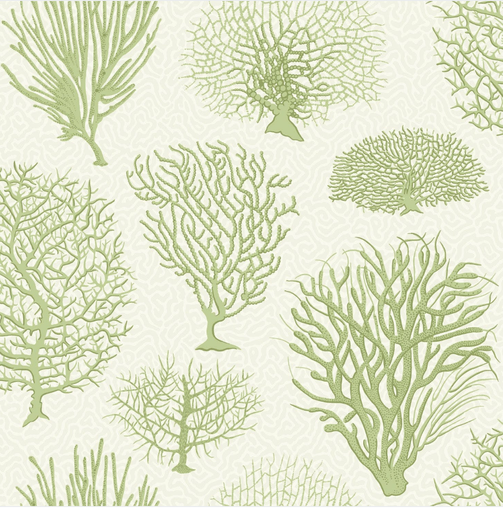 Sea Fern Wallpaper
