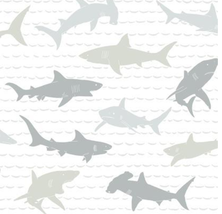 Shark Charades Wallpaper